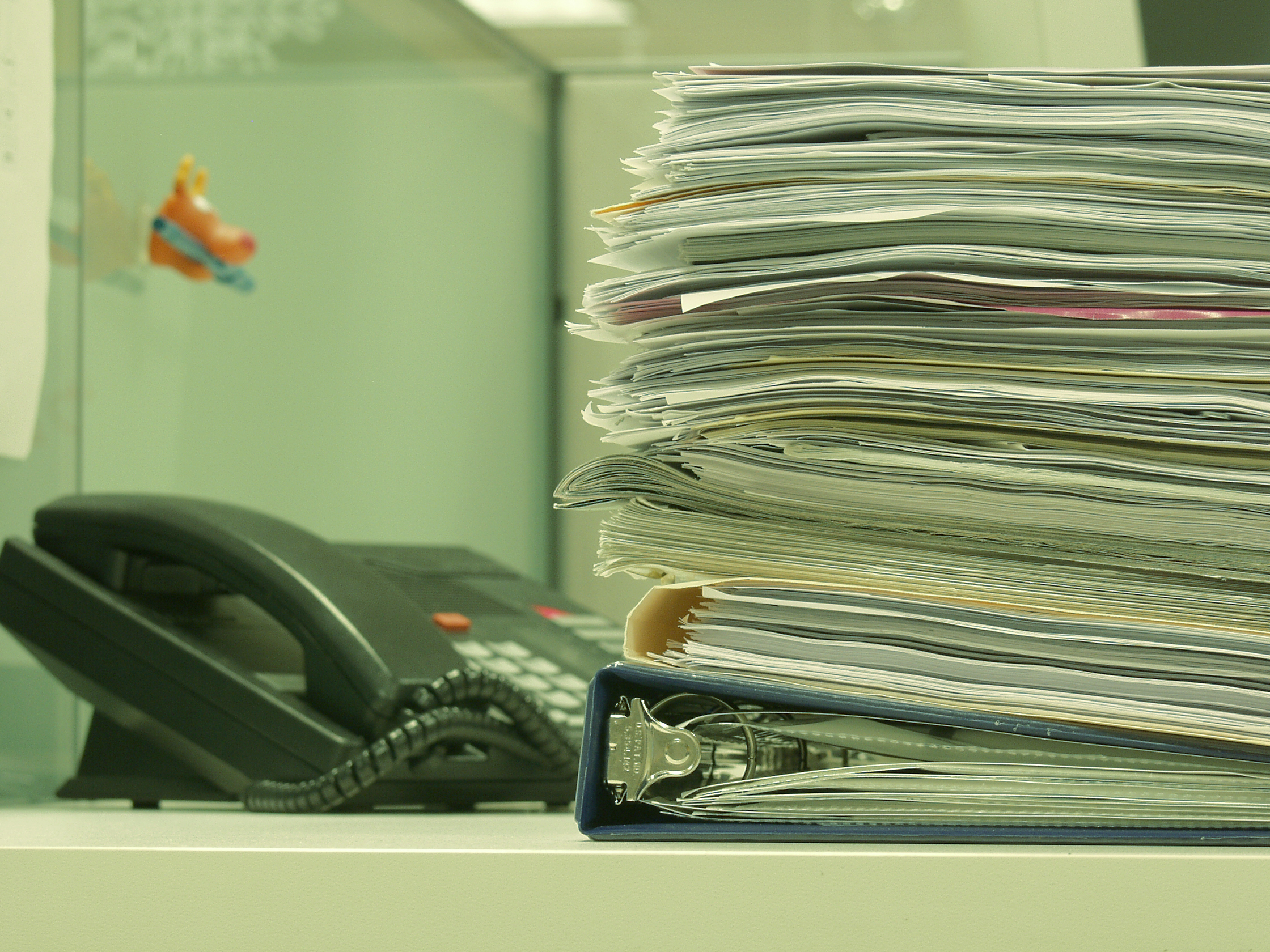 פתרונות מימון וניהול פיננסי